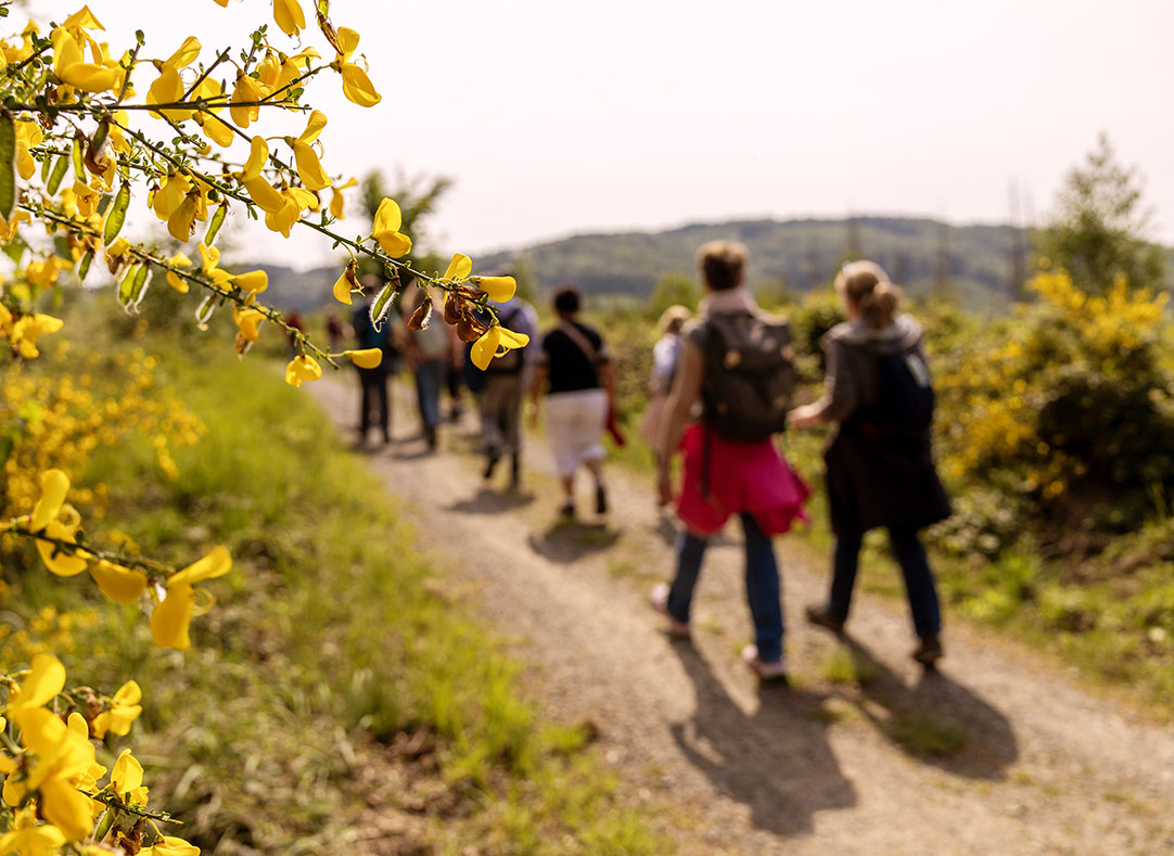 Bergisches Wanderland